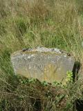 image of grave number 104093